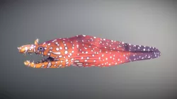 Hawaiian Dragon Moray Eel