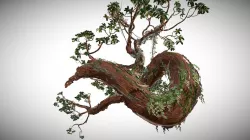 Madrona Invasives