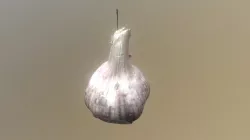 Op Garlic