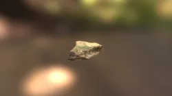 Rock