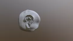 Sculpt Ear Practice 4