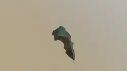 Skala