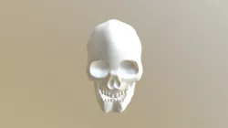SKULL 3 0