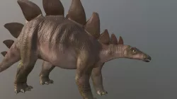 Stegosaurus