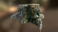 Tree stump