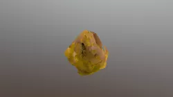 yellow leg