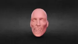 Zombie Head
