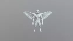 Aarakocra model