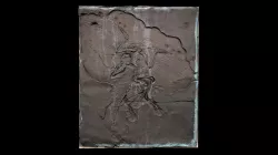 Archaeopteryx lithographica - bronze cast
