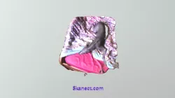 Blue Scanner