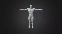 bodybuilder