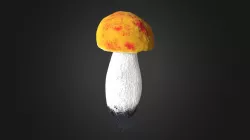 boletus