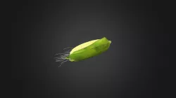 corn