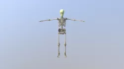 Ejercicio N4
