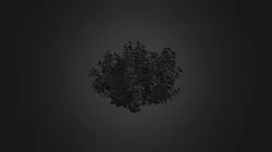 Ficus microcarpa