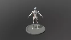 Genji Maya Model