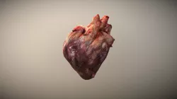 Heart 3D