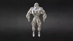 High Poly muscle anatomy