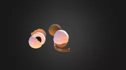 longan