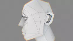 Low Poly Head