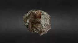 LUMACA