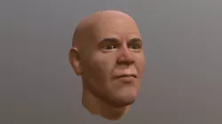 Male Face 2
