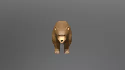 Model Animal Bear
