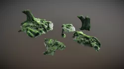 Nature Forest Roots 005