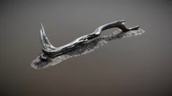 Nature Forest Roots 009