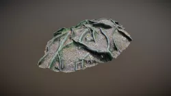 Nature Forest Roots 010