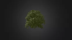 Plant for c4d
