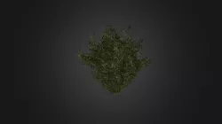 Plant for c4d