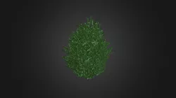 Plant for c4d