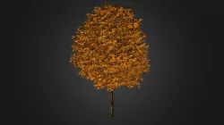 Plant for c4d