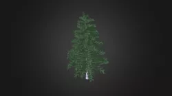 Plant for c4d