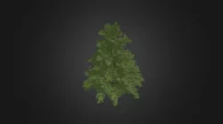 Plant for c4d