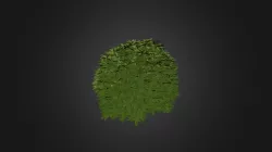 Plant for c4d
