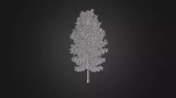 Plant for c4d