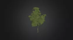 Plant for c4d