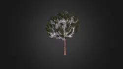 Plant for c4d