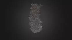 Plant for c4d