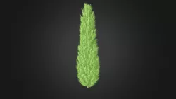 Plant for c4d
