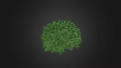 Plant for c4d