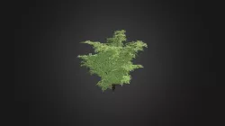 Plant for c4d