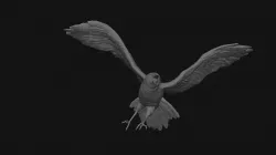 Pratt Porfolio: Crow