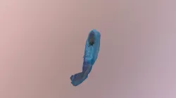 Ryba mahi mahi