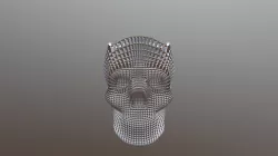 Skull Art