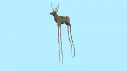 Surrealistic Stag