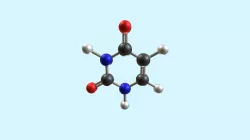 Uracil