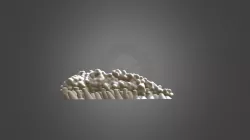 3D Print: Chain E, nAChR